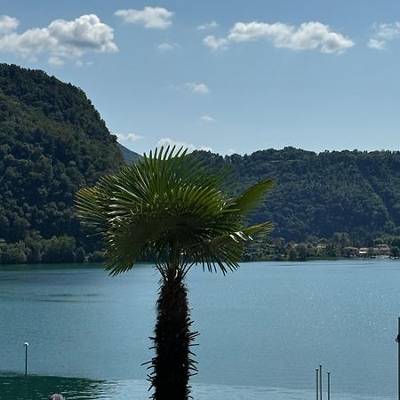 Neue Gartenwohnung Mit Sicht Auf Den Luganersee ポンテ・トレーザ エクステリア 写真