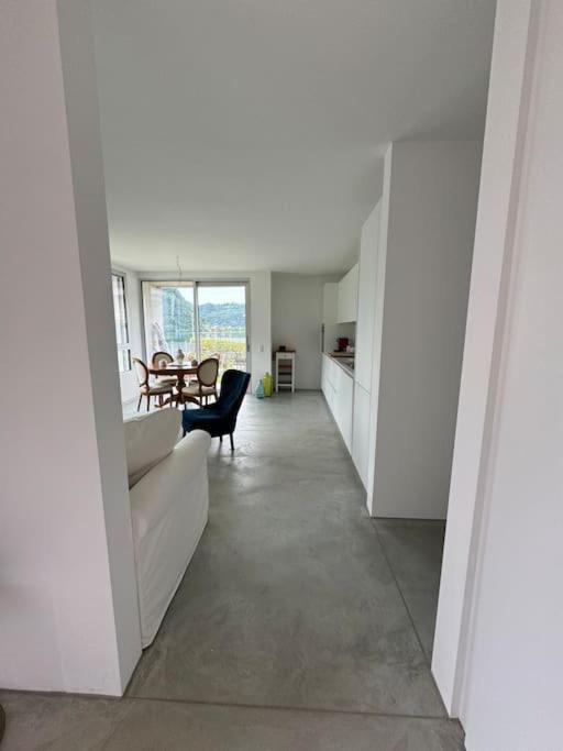 Neue Gartenwohnung Mit Sicht Auf Den Luganersee ポンテ・トレーザ エクステリア 写真