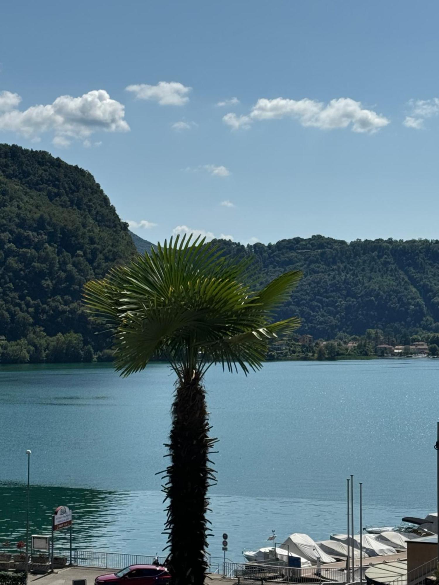 Neue Gartenwohnung Mit Sicht Auf Den Luganersee ポンテ・トレーザ エクステリア 写真